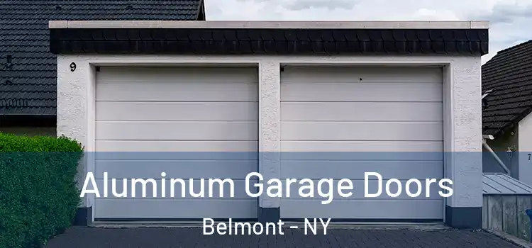  Aluminum Garage Doors Belmont - NY