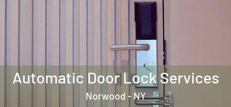 Automatic Door Lock Services Norwood - NY