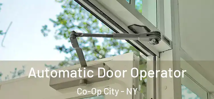 Automatic Door Operator Co-Op City - NY