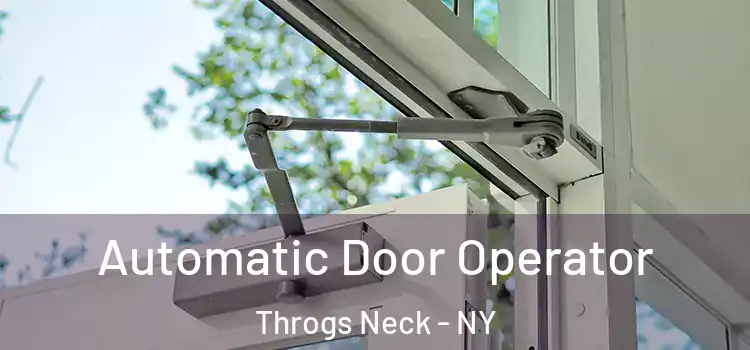 Automatic Door Operator Throgs Neck - NY