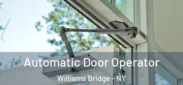 Automatic Door Operator Williams Bridge - NY