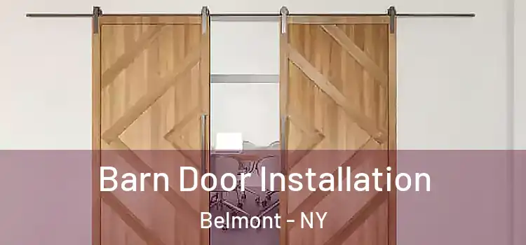  Barn Door Installation Belmont - NY