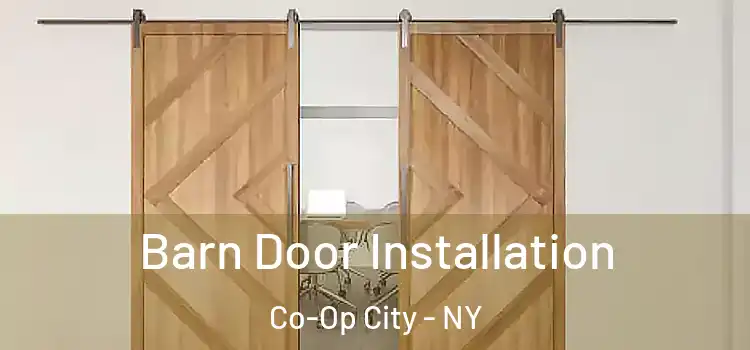  Barn Door Installation Co-Op City - NY