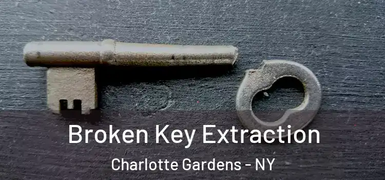  Broken Key Extraction Charlotte Gardens - NY