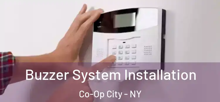  Buzzer System Installation Co-Op City - NY