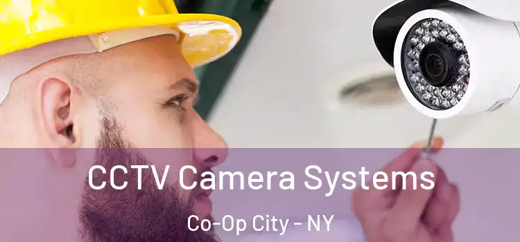 CCTV Camera Systems Co-Op City - NY