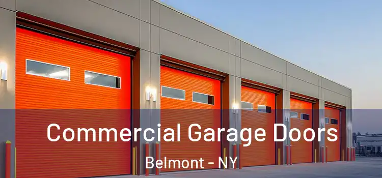  Commercial Garage Doors Belmont - NY