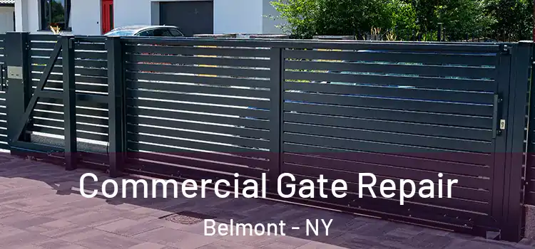  Commercial Gate Repair Belmont - NY