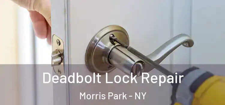  Deadbolt Lock Repair Morris Park - NY