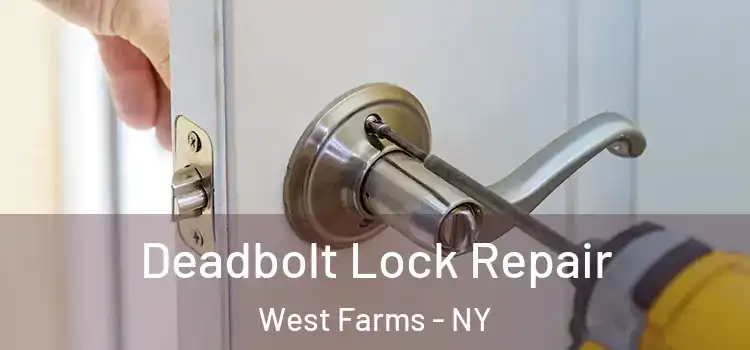 Deadbolt Lock Repair West Farms - NY