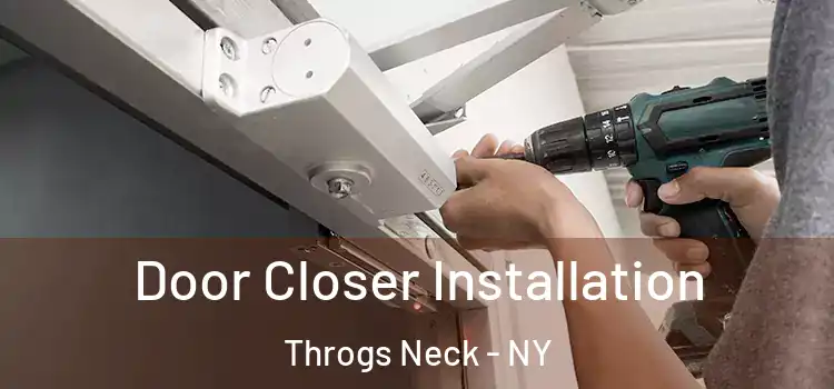  Door Closer Installation Throgs Neck - NY
