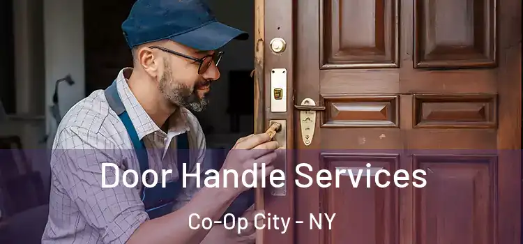 Door Handle Services Co-Op City - NY