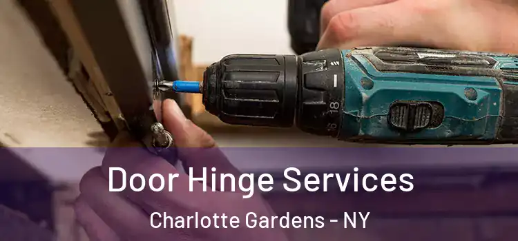Door Hinge Services Charlotte Gardens - NY