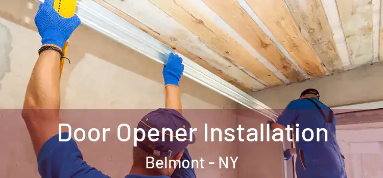  Door Opener Installation Belmont - NY