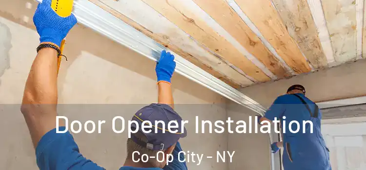 Door Opener Installation Co-Op City - NY