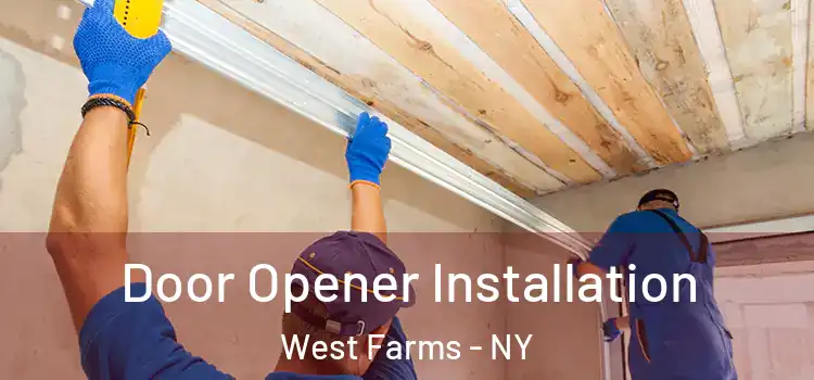  Door Opener Installation West Farms - NY