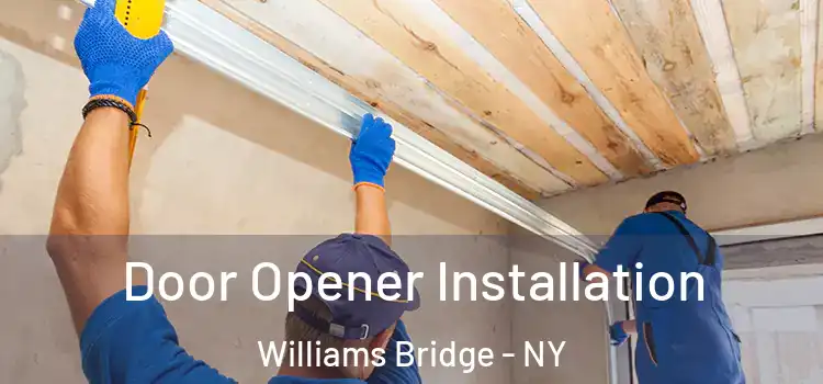 Door Opener Installation Williams Bridge - NY