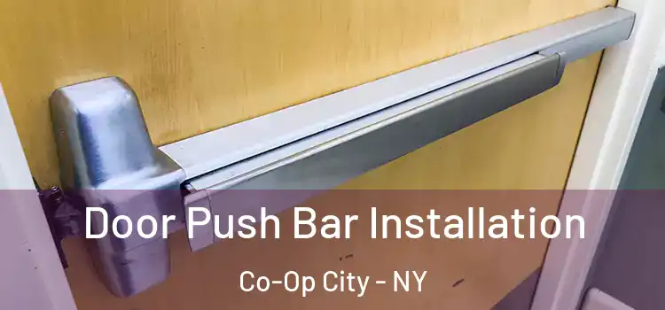  Door Push Bar Installation Co-Op City - NY