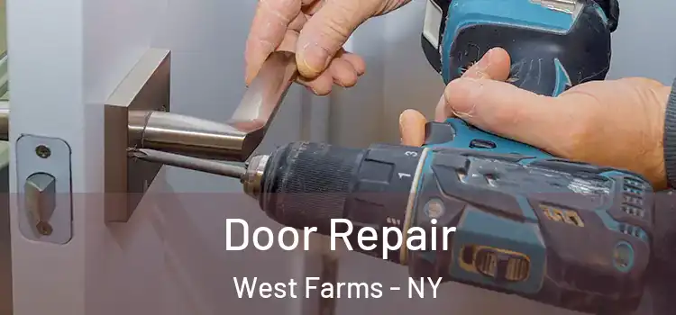  Door Repair West Farms - NY
