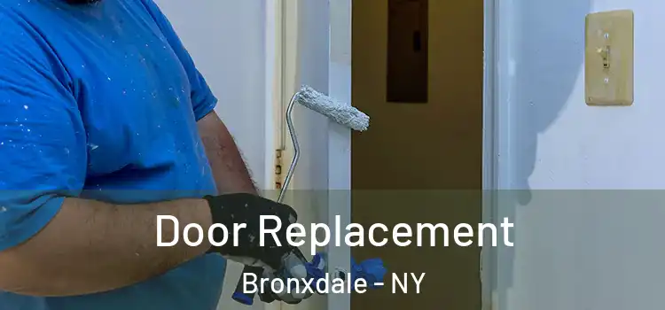 Door Replacement Bronxdale - NY