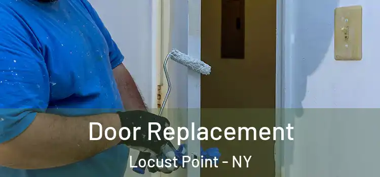  Door Replacement Locust Point - NY