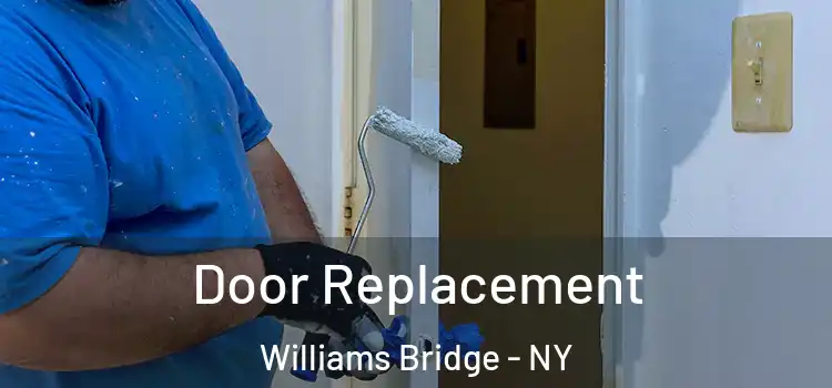  Door Replacement Williams Bridge - NY