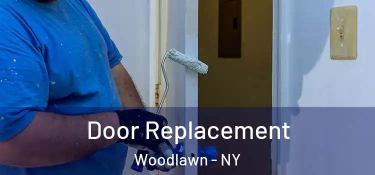  Door Replacement Woodlawn - NY