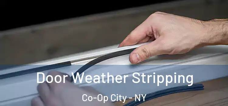 Door Weather Stripping Co-Op City - NY