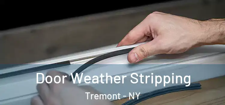 Door Weather Stripping Tremont - NY