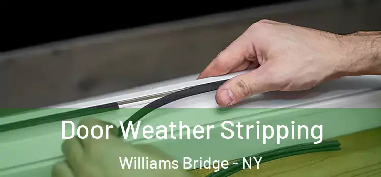 Door Weather Stripping Williams Bridge - NY