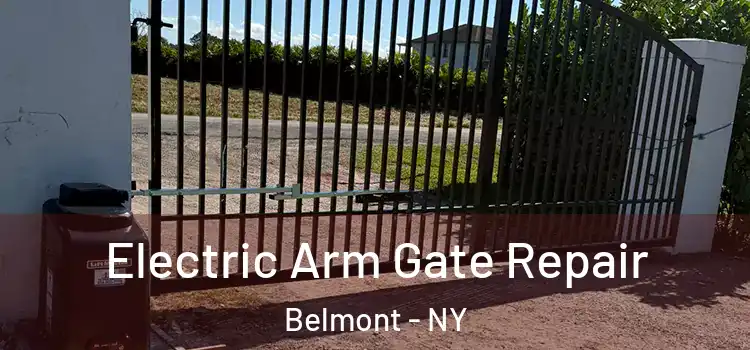 Electric Arm Gate Repair Belmont - NY