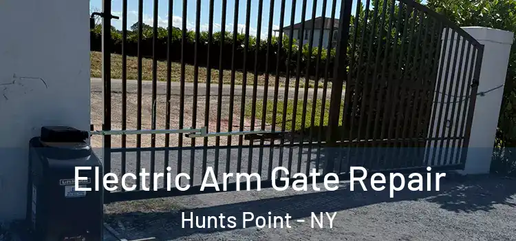 Electric Arm Gate Repair Hunts Point - NY