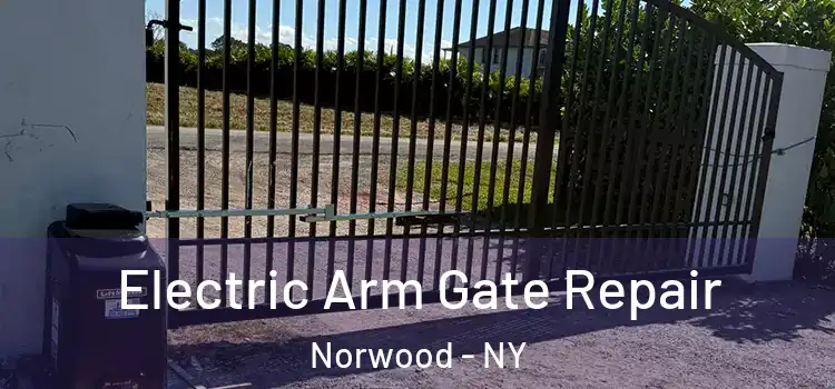  Electric Arm Gate Repair Norwood - NY