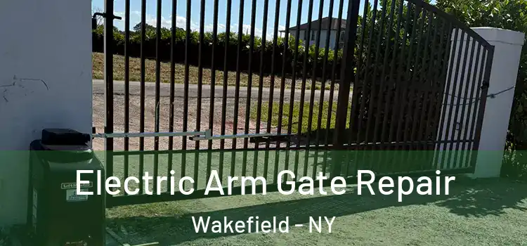 Electric Arm Gate Repair Wakefield - NY