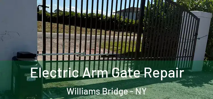 Electric Arm Gate Repair Williams Bridge - NY