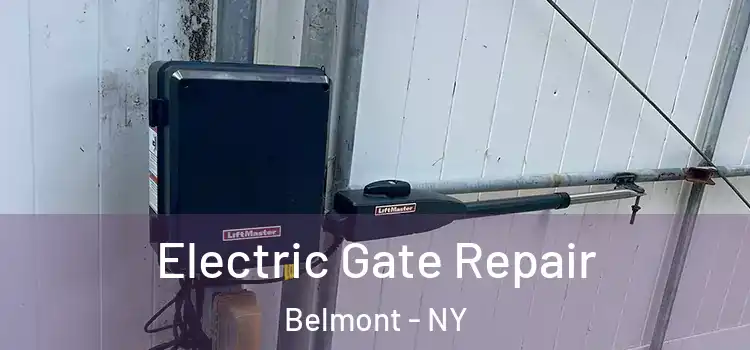 Electric Gate Repair Belmont - NY