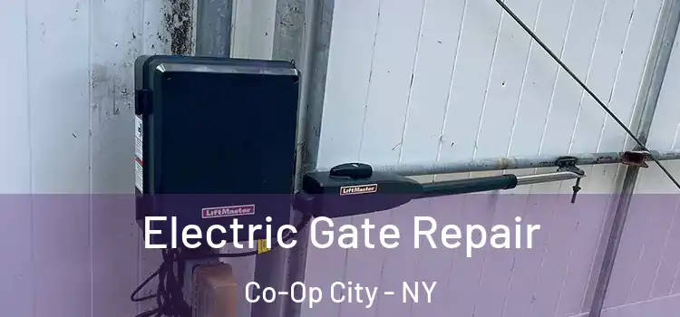 Electric Gate Repair Co-Op City - NY