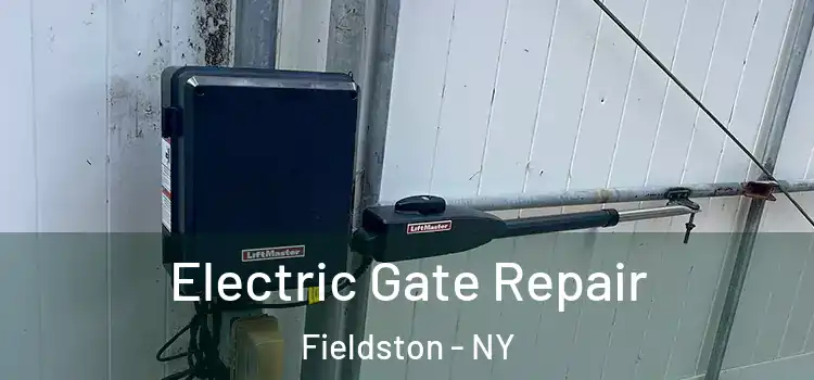 Electric Gate Repair Fieldston - NY