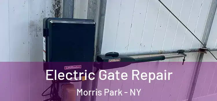  Electric Gate Repair Morris Park - NY