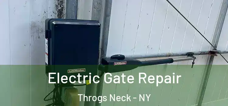  Electric Gate Repair Throgs Neck - NY