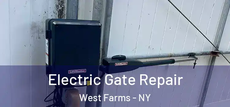  Electric Gate Repair West Farms - NY