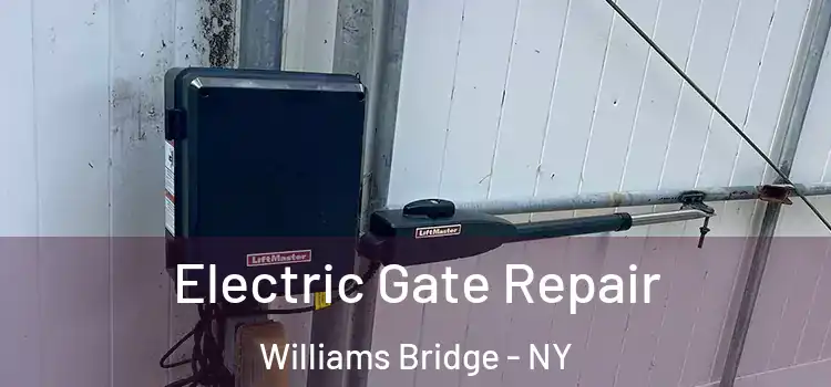 Electric Gate Repair Williams Bridge - NY
