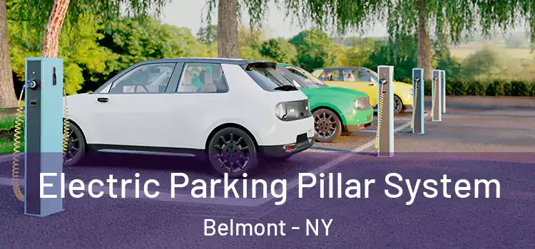 Electric Parking Pillar System Belmont - NY