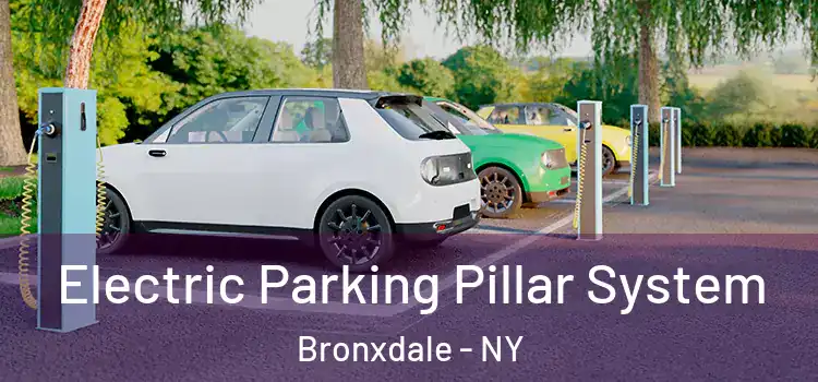 Electric Parking Pillar System Bronxdale - NY