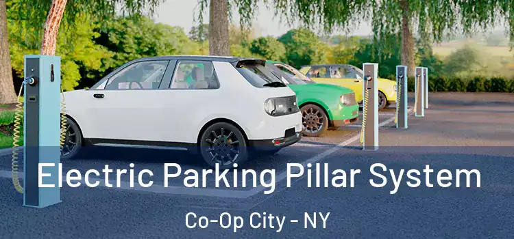Electric Parking Pillar System Co-Op City - NY