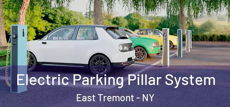 Electric Parking Pillar System East Tremont - NY