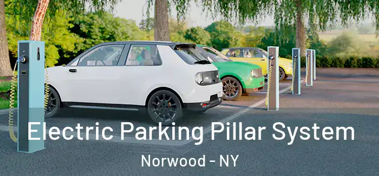 Electric Parking Pillar System Norwood - NY