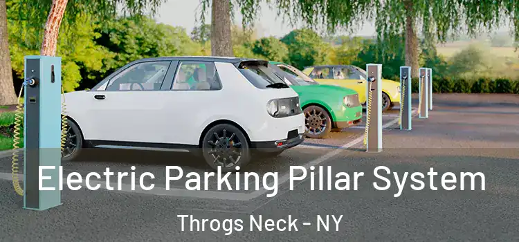  Electric Parking Pillar System Throgs Neck - NY