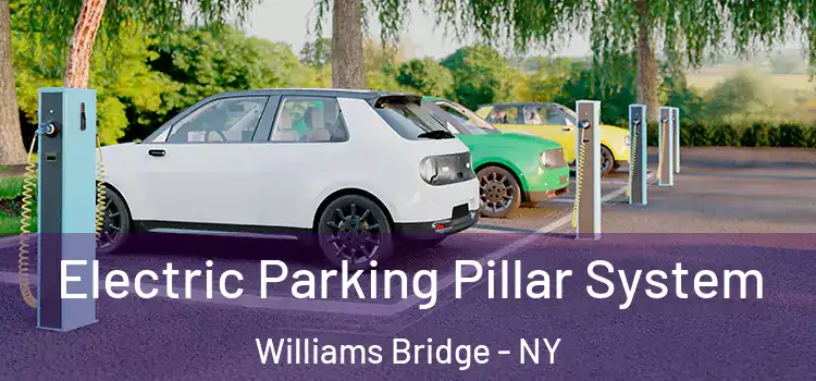 Electric Parking Pillar System Williams Bridge - NY