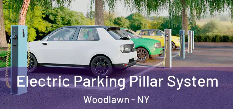 Electric Parking Pillar System Woodlawn - NY